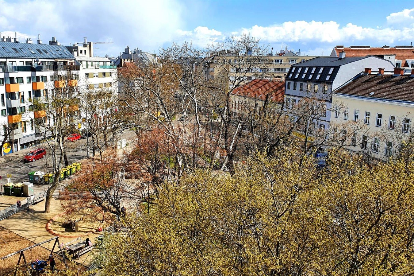 Ausblick einer Wohnung auf einen Park in der Stadt Wien