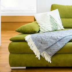 DSC04420-HDR-250x250 Grüne Couch mit blauer Decke und einem weißen Polster